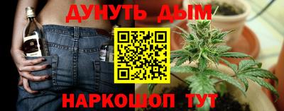гидропоника Дубна