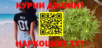 гидропоника Дубна